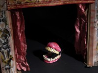 teeth