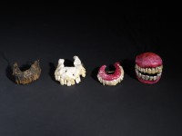 teeth